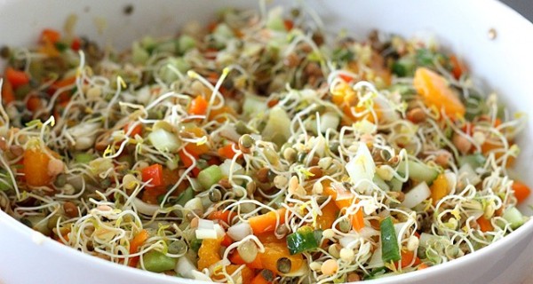 Sprouts Salad